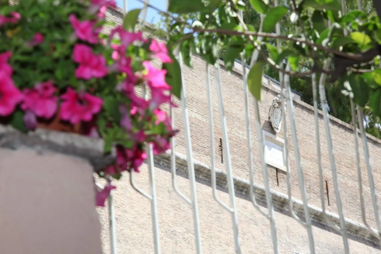 Guest house Vaticano84 Rome